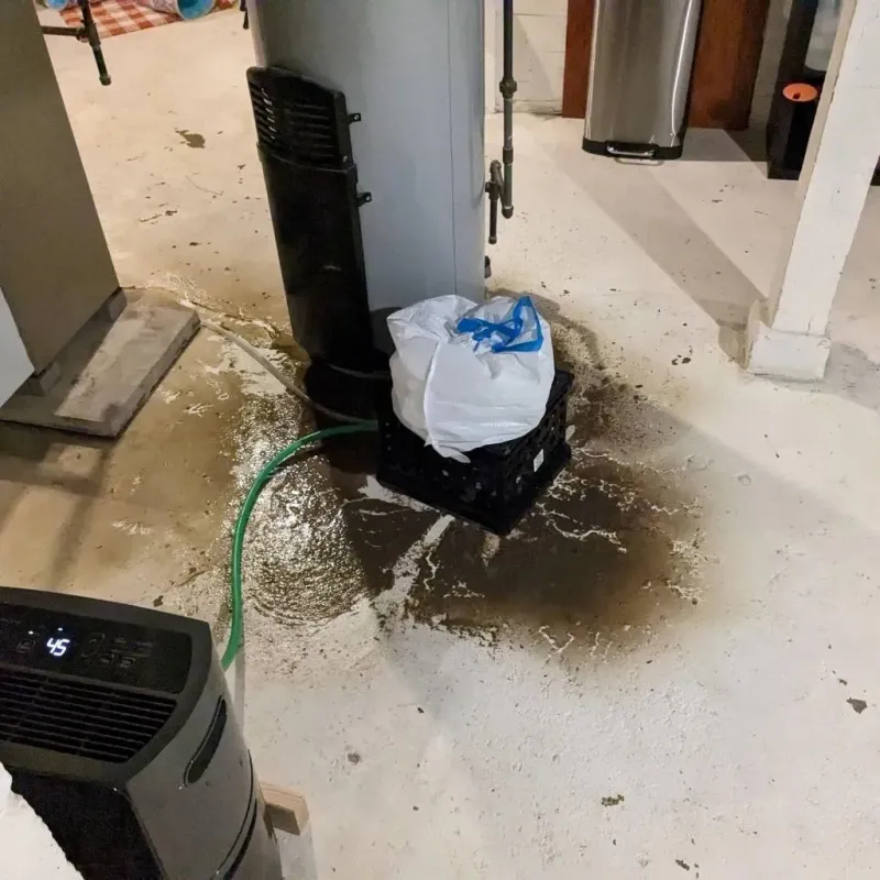 Sewage Backup Cleanup Service in Sparta, MO